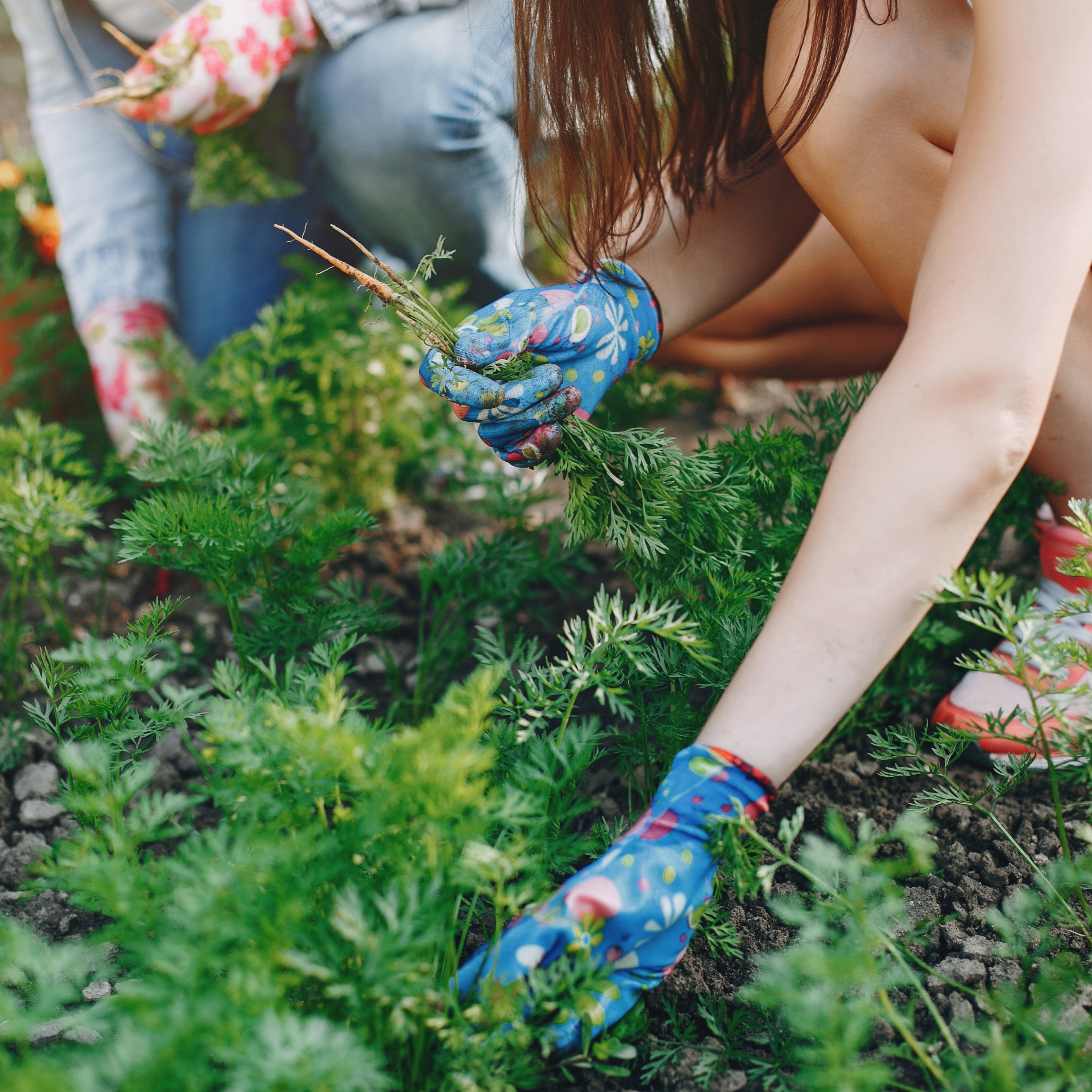 190 pixel image width