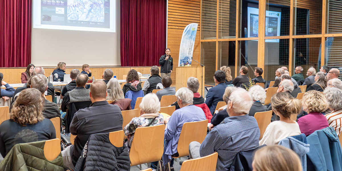 600 pixels wide image