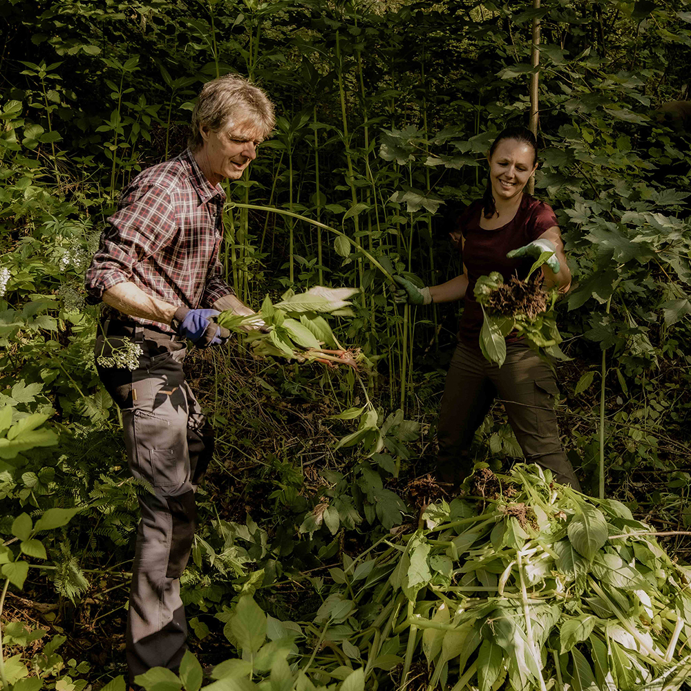 190 pixel image width