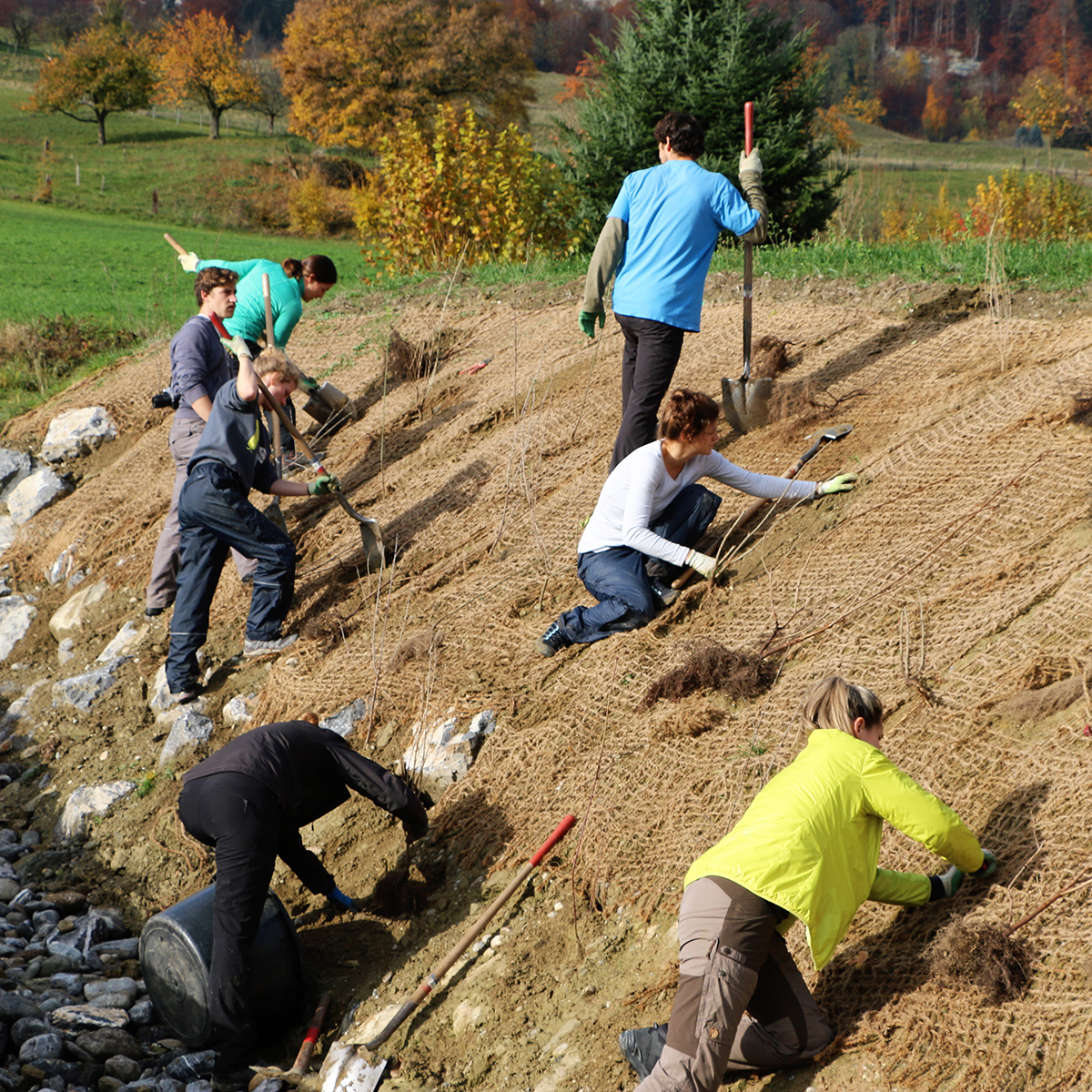 190 pixel image width