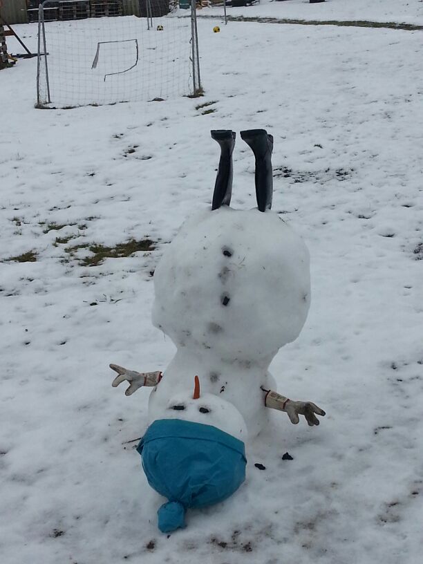 600 pixels wide image