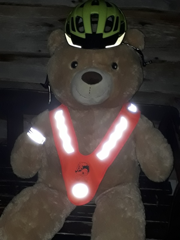 600 pixels wide image