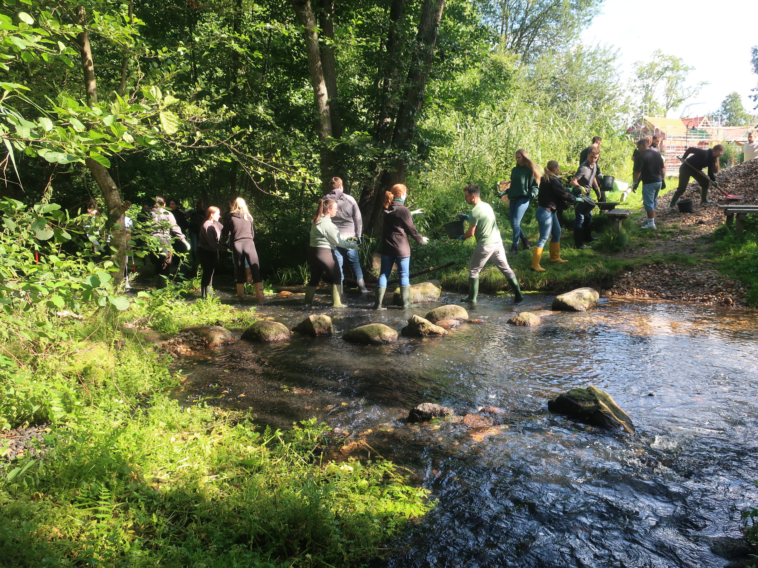 Kies für den Fluss Neetze: Azubis des Landkreises Lüneburg packten im August 2025 tatkräftig an zum Wohle heimischer Gewässer - Foto: Landkreis Lüneburg