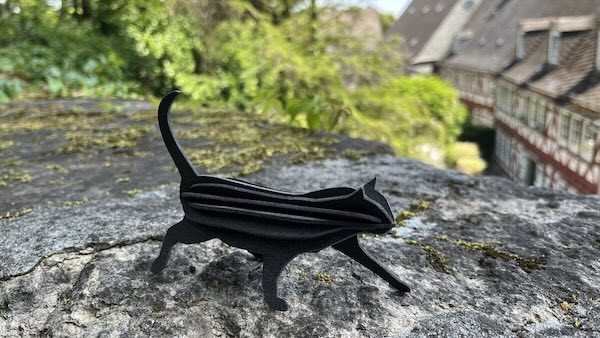 600 pixels wide image