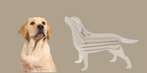 600 pixels wide image