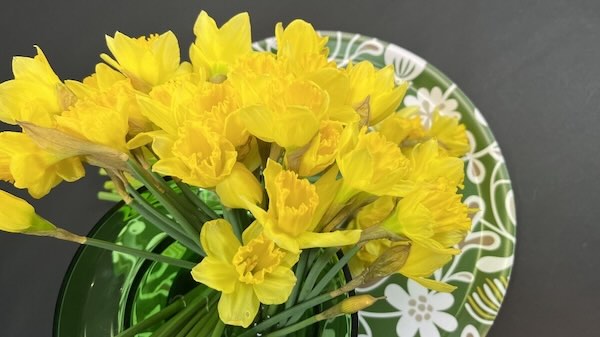 600 pixels wide image