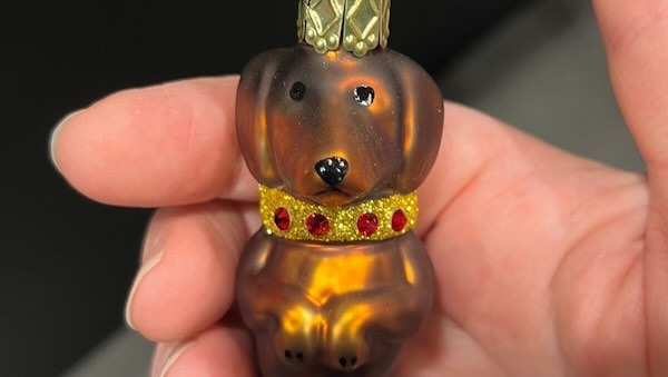 600 pixels wide image