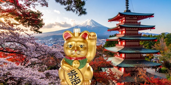 600 pixels wide image