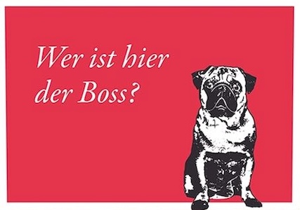 600 pixels wide image