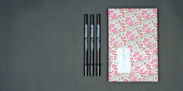 600 pixels wide image