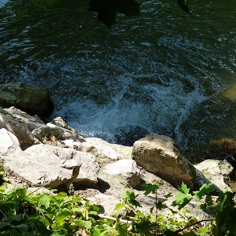 600 pixels wide image