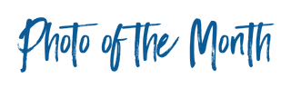 Foto des Monats
