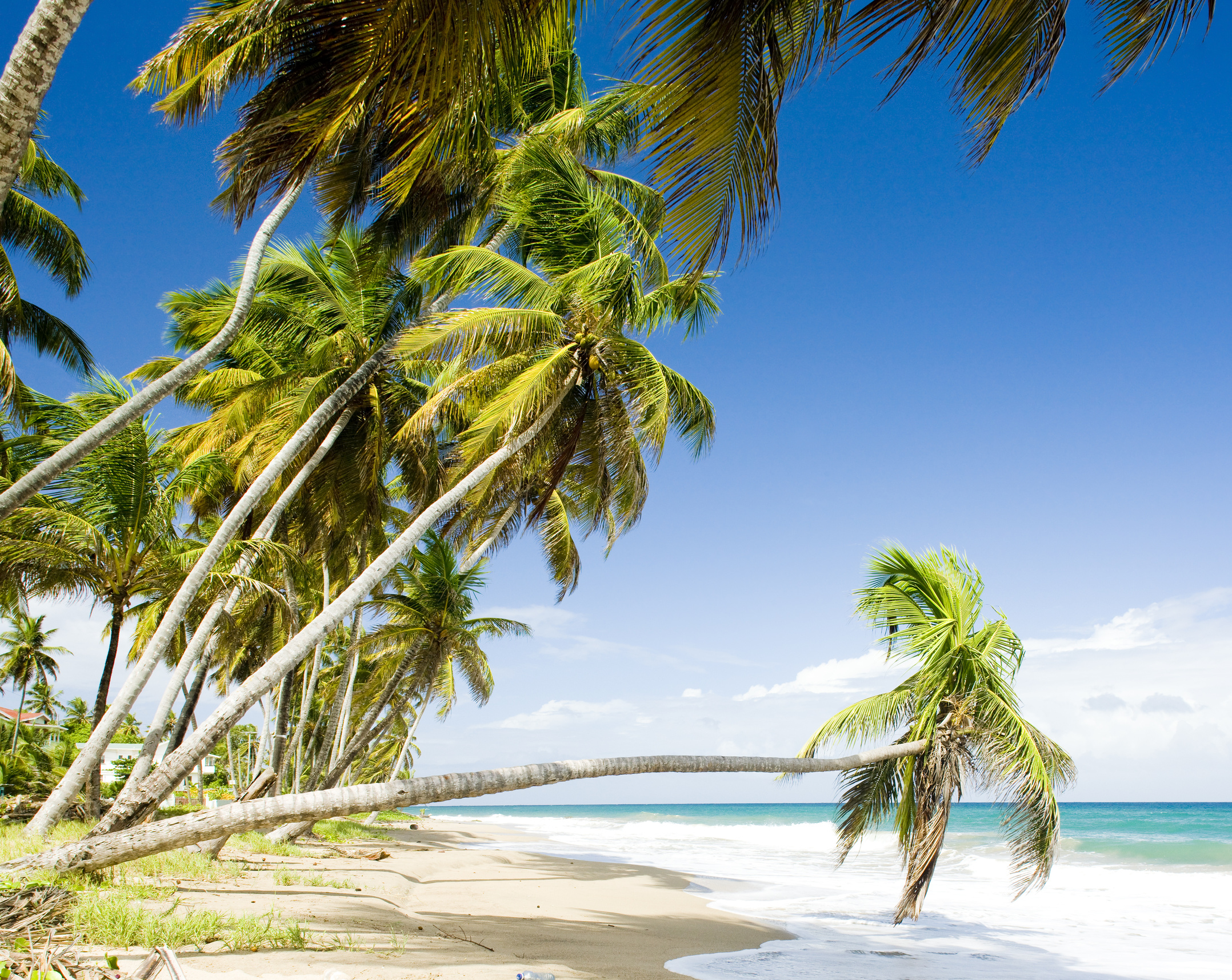 600 pixels wide image