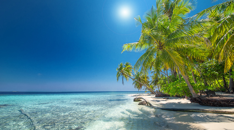 600 pixels wide image