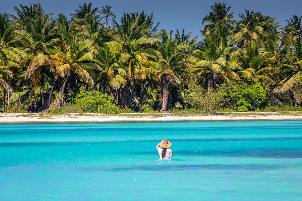 600 pixels wide image