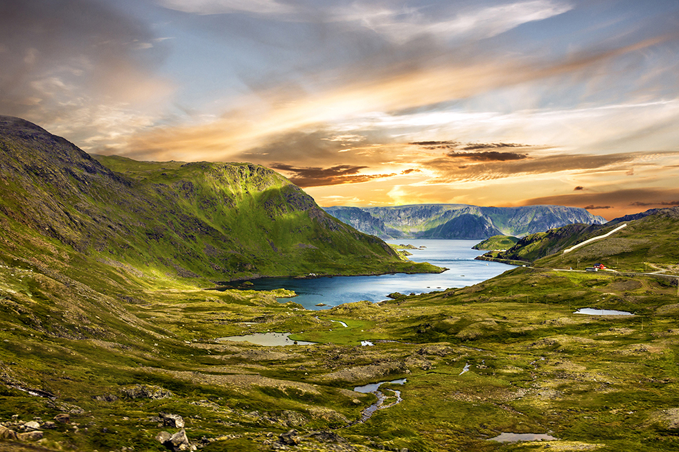 600 pixels wide image