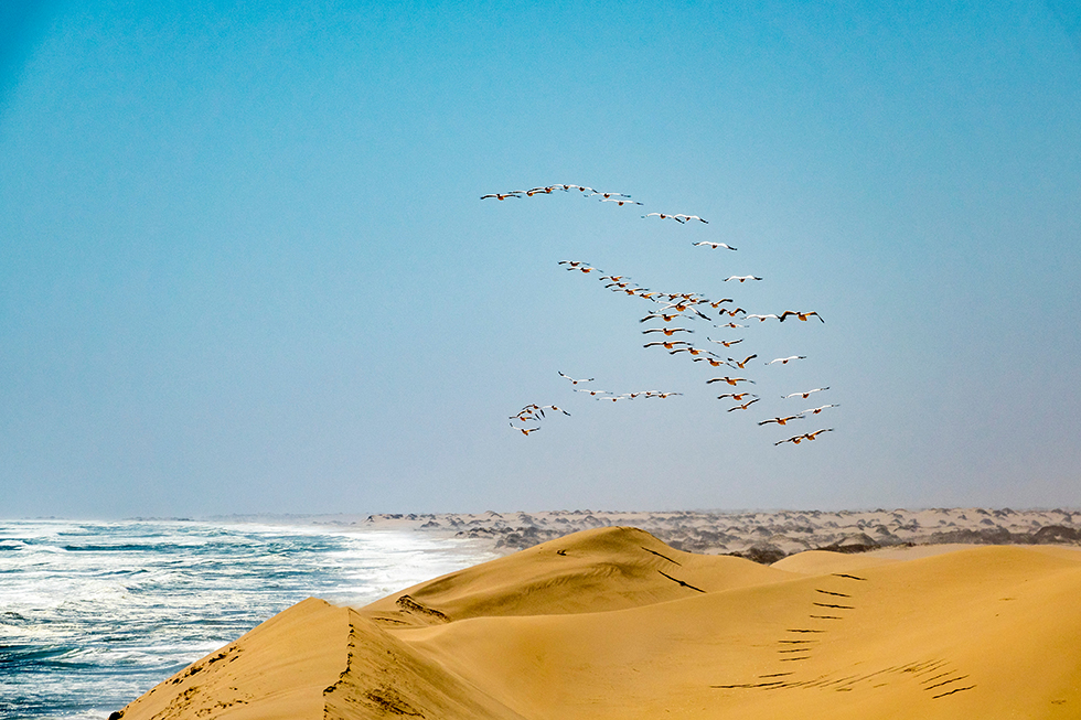 600 pixels wide image