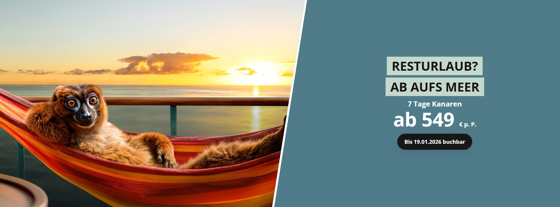 600 pixels wide image