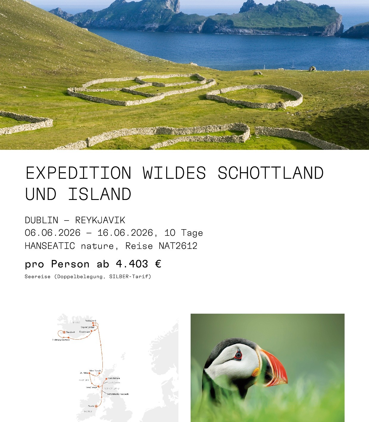 600 pixels wide image