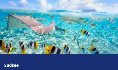 600 pixels wide image