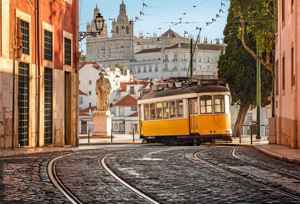 600 pixels wide image