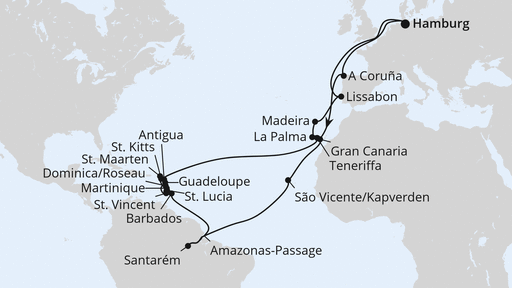 290 pixel image width