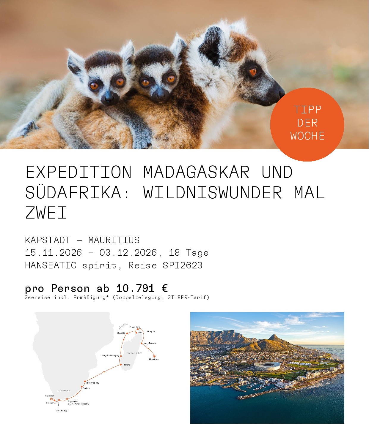 600 pixels wide image