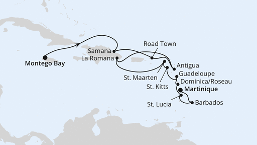 290 pixel image width