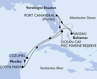 290 pixel image width