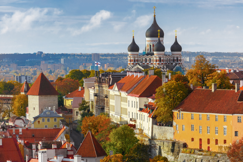 600 pixels wide image