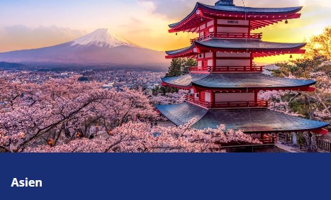 600 pixels wide image