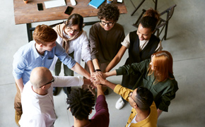 290 pixel image width