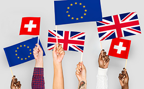 290 pixel image width