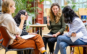 290 pixel image width