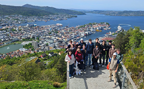 290 pixel image width