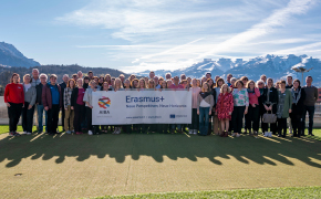 290 pixel image width