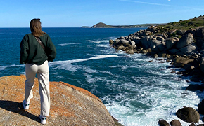 290 pixel image width