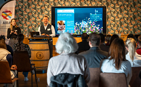 290 pixel image width