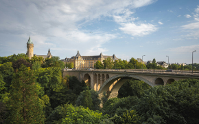 290 pixel image width
