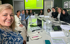 290 pixel image width