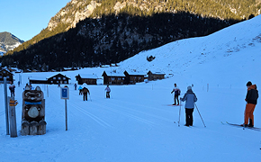 290 pixel image width