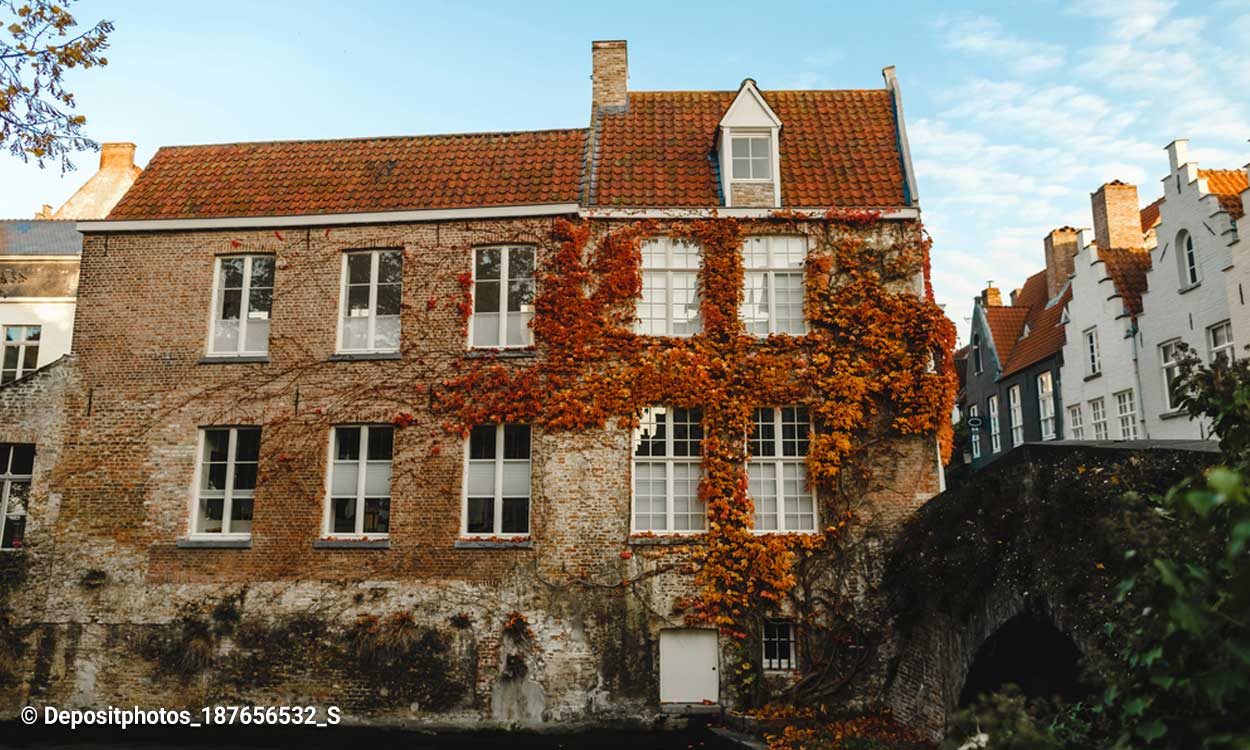 Bild: Fotograf / Quelle