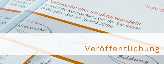 Publikation_Netzwerke des Strukturwandels Publikation_Netzwerke des Strukturwandels