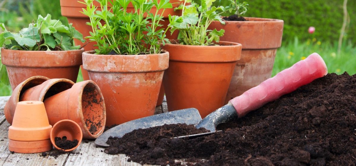 Kompetenzzentrum Nachhaltiger Konsum