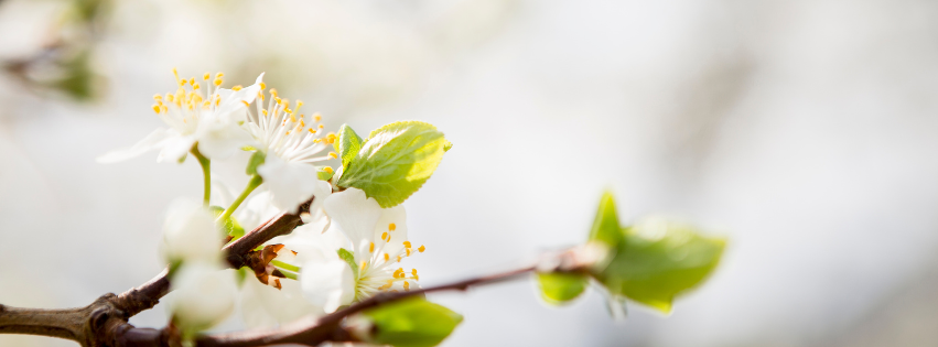 Flyer Inspirationstag Kirche mit Kindern 14.06.2024