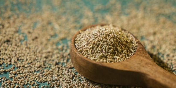 Ajowan Samen auf Löffel