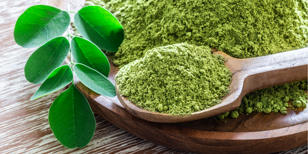 Moringa als Blatt und gemahlen