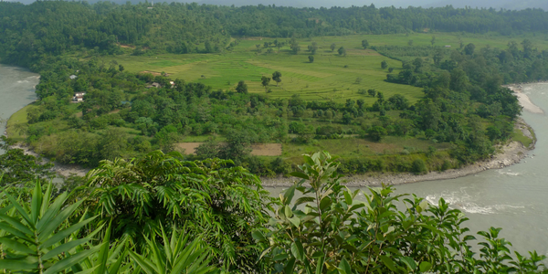  Land of the Medicine Buddha