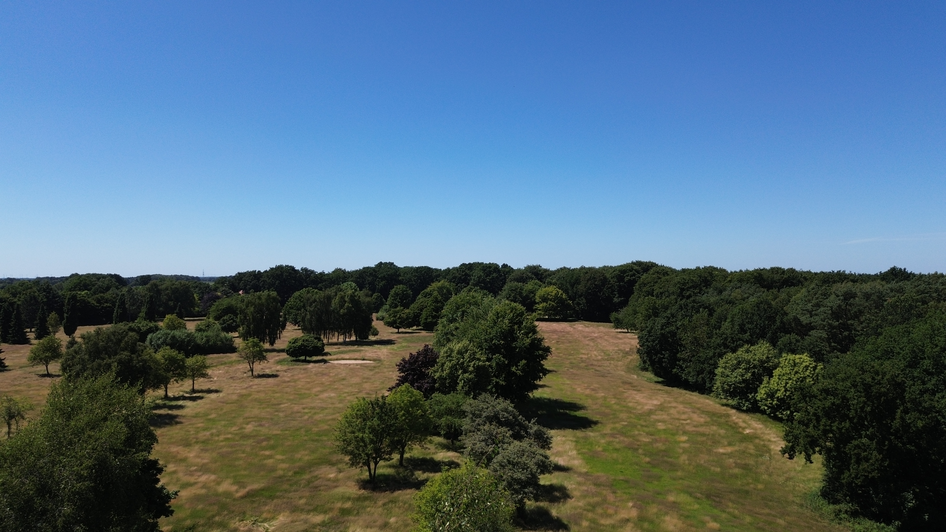 600 pixels wide image