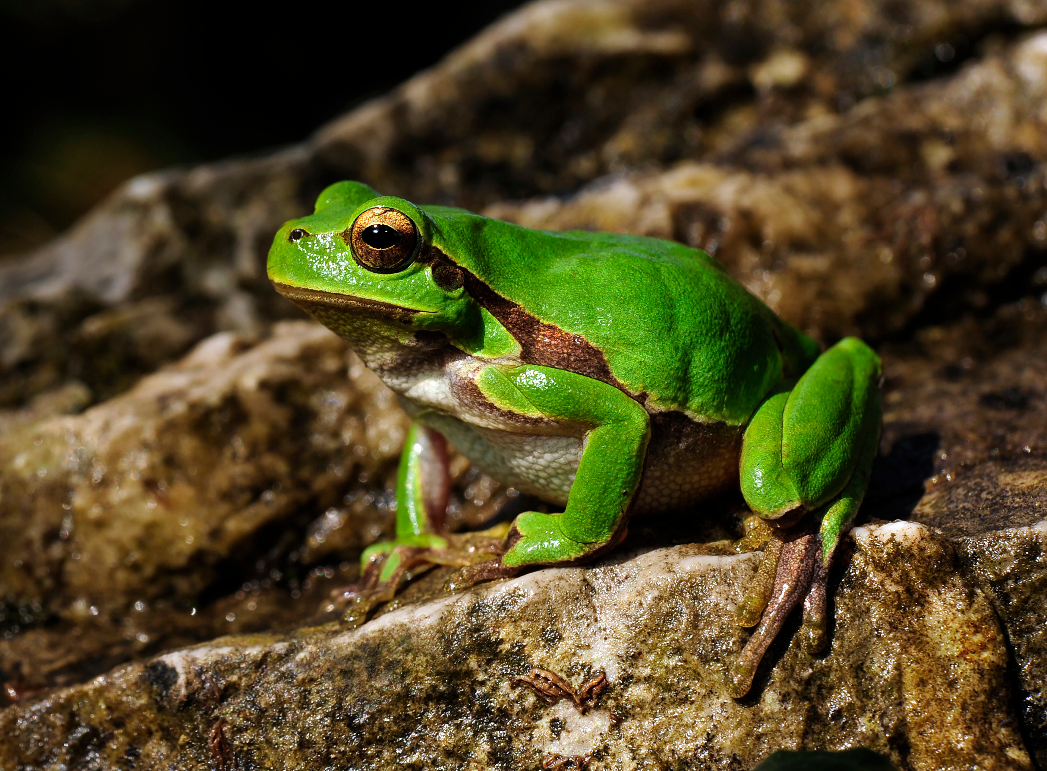 190 pixel image width